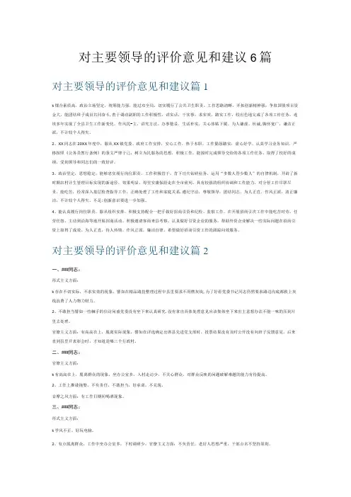 对主要领导的评价意见和建议6篇