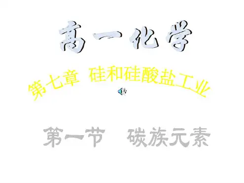 高一化学下学期碳族元素