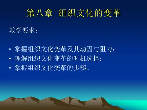 组织文化——第八章