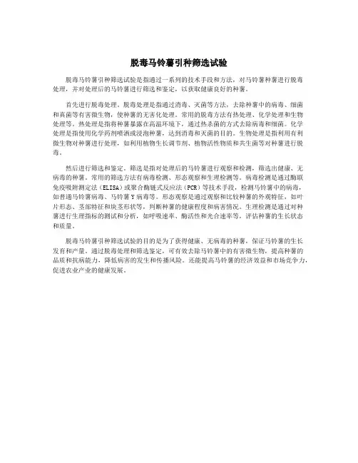脱毒马铃薯引种筛选试验