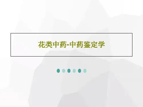 花类中药-中药鉴定学42页PPT