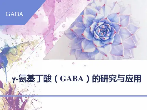 γ-氨基丁酸(GABA)的研究与应用