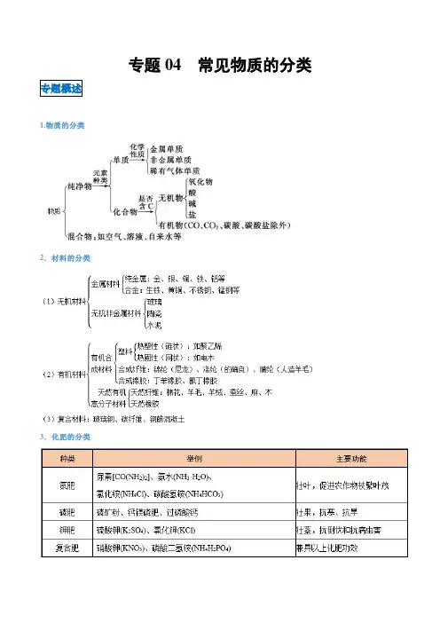 专题04  常见物质的分类-突破2021年中考化学基于核心素养的命题透析与专练(解析版)
