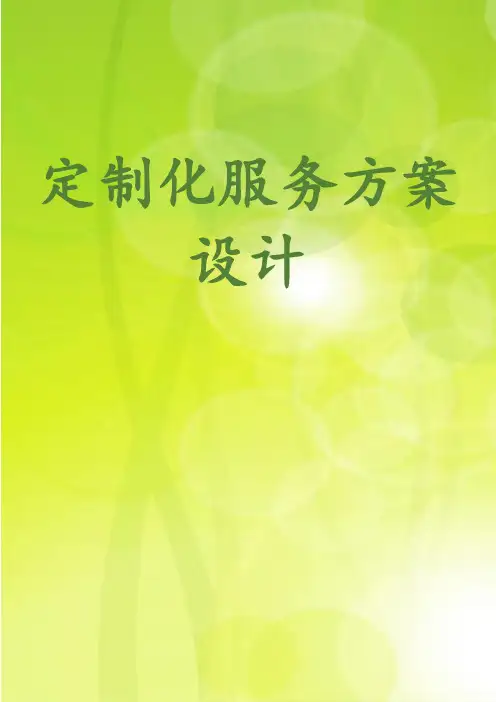 定制化服务方案设计