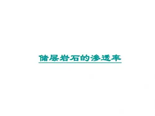 储层岩石的渗透率