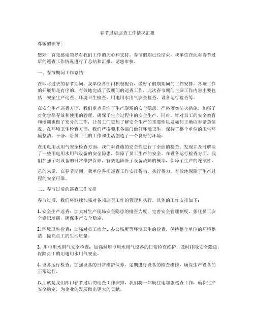 春节过后巡查工作情况汇报