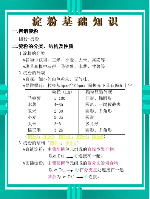 关于淀粉的知识