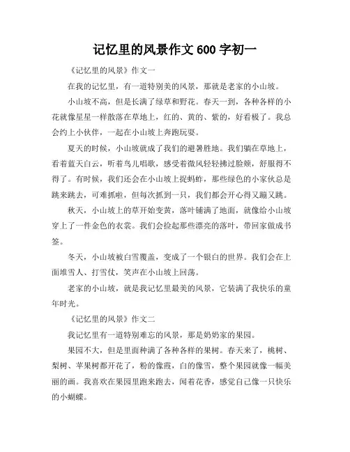 记忆里的风景作文600字初一
