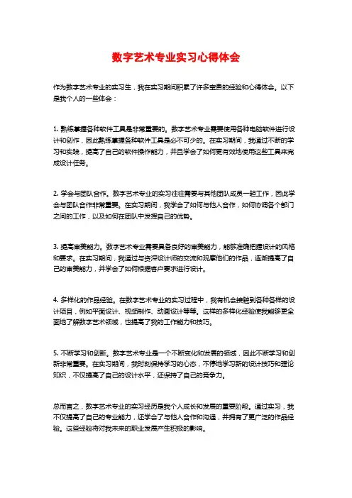 数字艺术专业实习心得体会