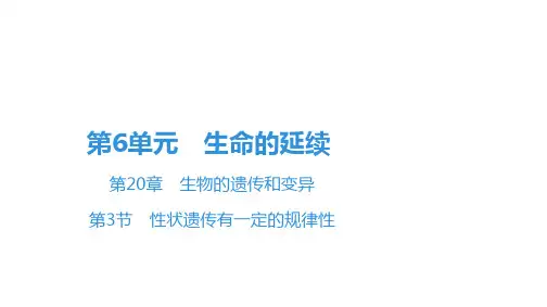 生物北师大版八年级上册第6单元第20章第3节性状遗传有一定的规律性 PPT课件