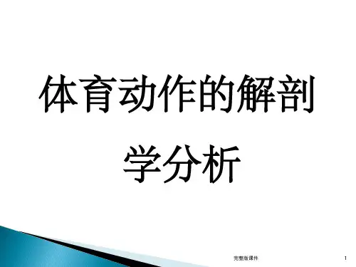 体育动作的解剖学分析ppt课件优选全文