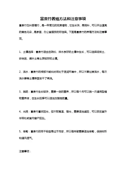 富贵竹养殖方法和注意事项