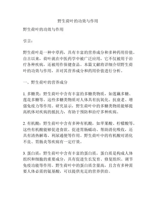 野生荷叶的功效与作用