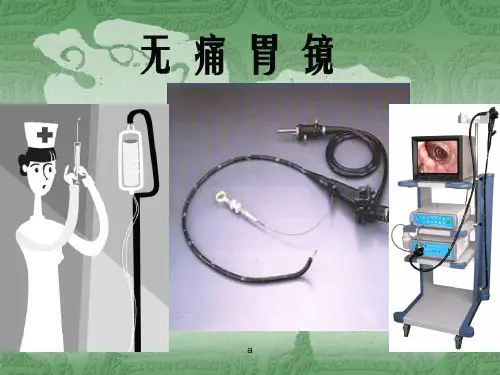 无痛胃镜的护理ppt课件
