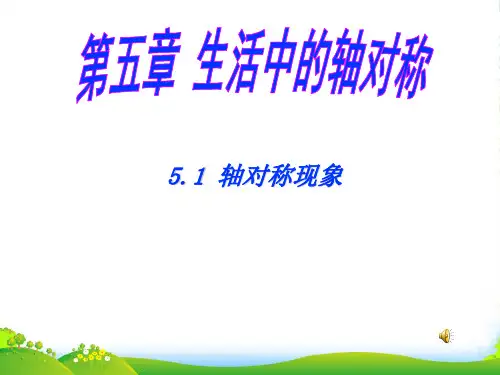 北师大版七年级数学下册第五章《51轴对称现象》公开课课件(20张)