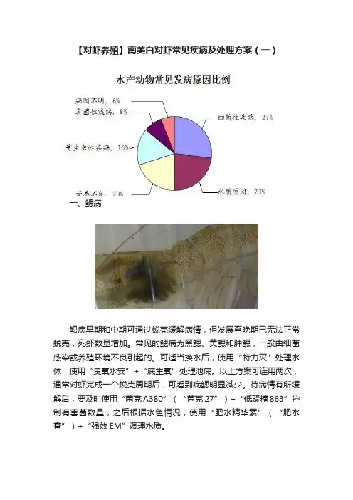 【对虾养殖】南美白对虾常见疾病及处理方案（一）