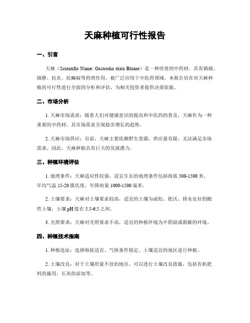 天麻种植可行性报告