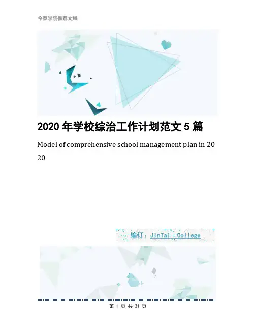 2020年学校综治工作计划范文5篇