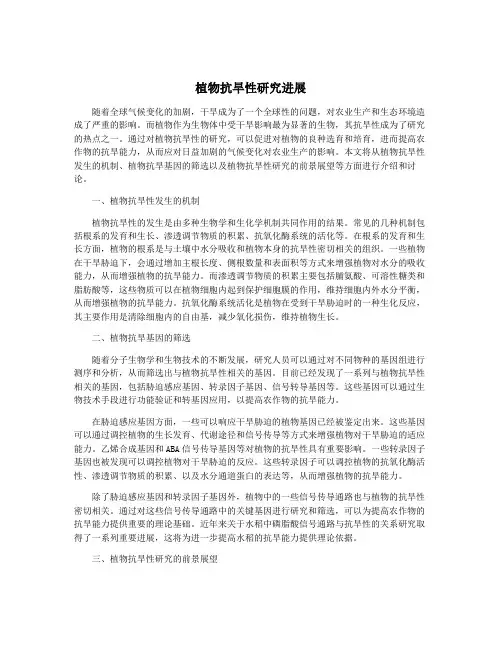 植物抗旱性研究进展
