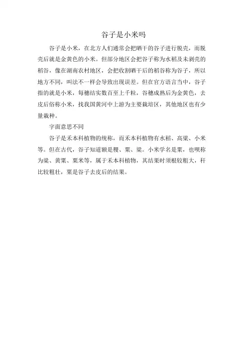 谷子是小米吗