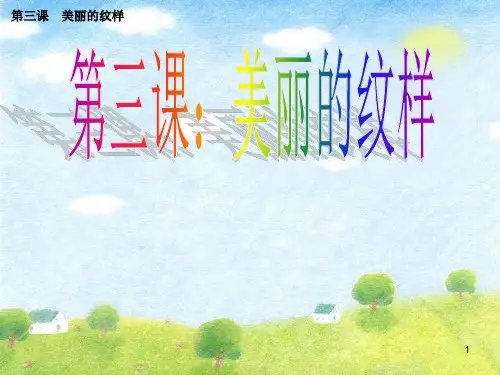 人教小学美术五上《第3课美丽的纹样》PPT课件 (10)