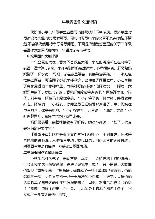 二年级看图作文加评语