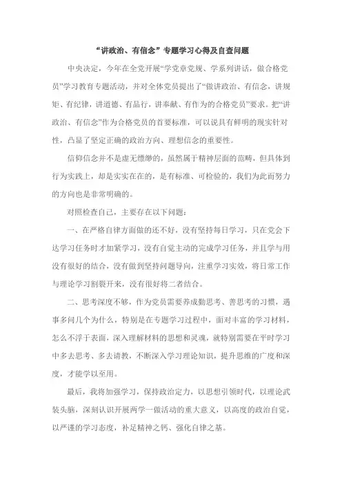 讲政治、有信念专题学习心得