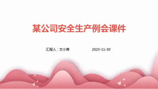 某公司安全生产例会课件