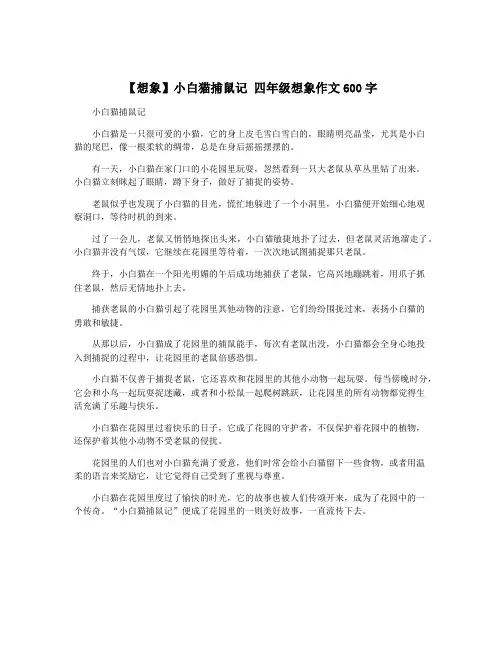 【想象】小白猫捕鼠记 四年级想象作文600字