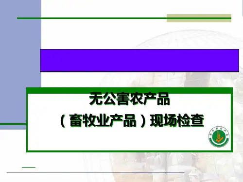 现场检查的要求与程序