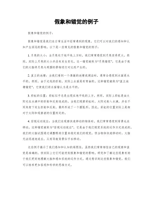 假象和错觉的例子