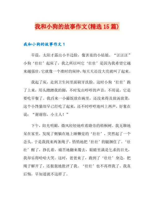 我和小狗的故事作文(精选15篇)