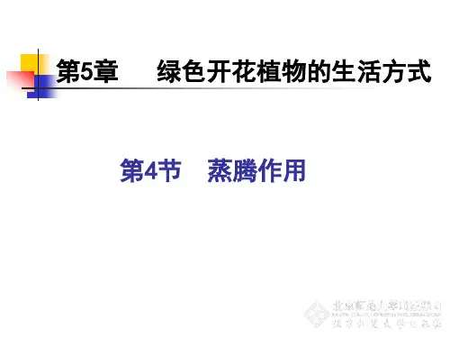 蒸腾作用优秀课件