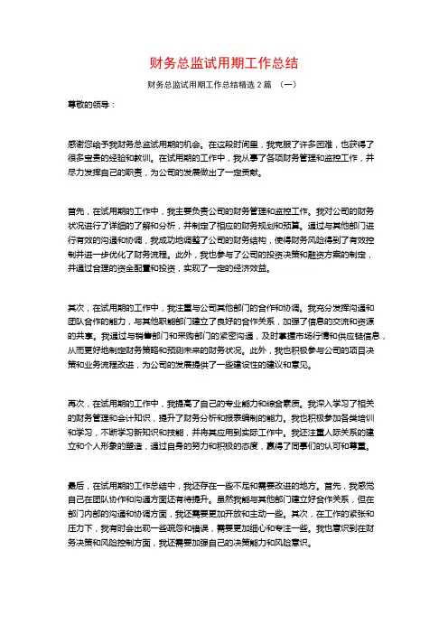 财务总监试用期工作总结2篇