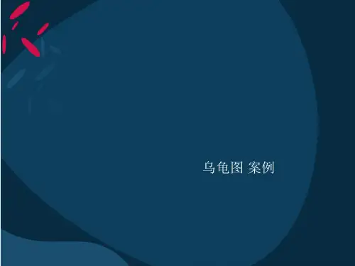 乌龟图案例