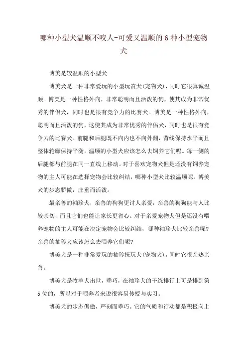 哪种小型犬温顺不咬人-可爱又温顺的6种小型宠物犬