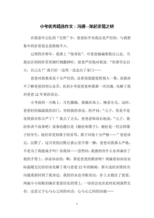 小考优秀精选作文：沟通--架起亲情之桥