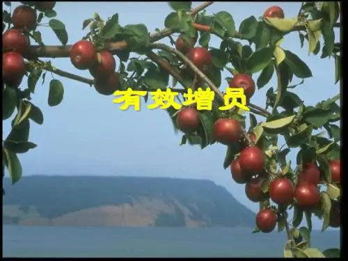 有效增员