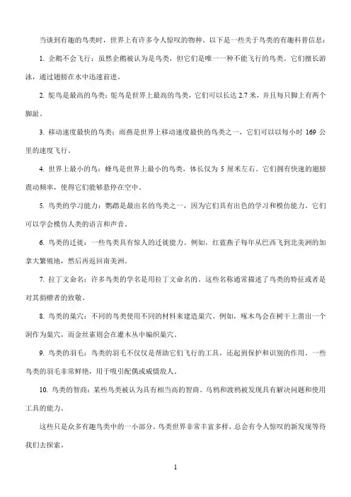 有趣的鸟类科普
