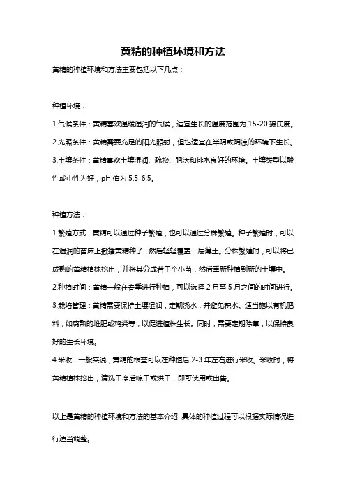 黄精的种植环境和方法