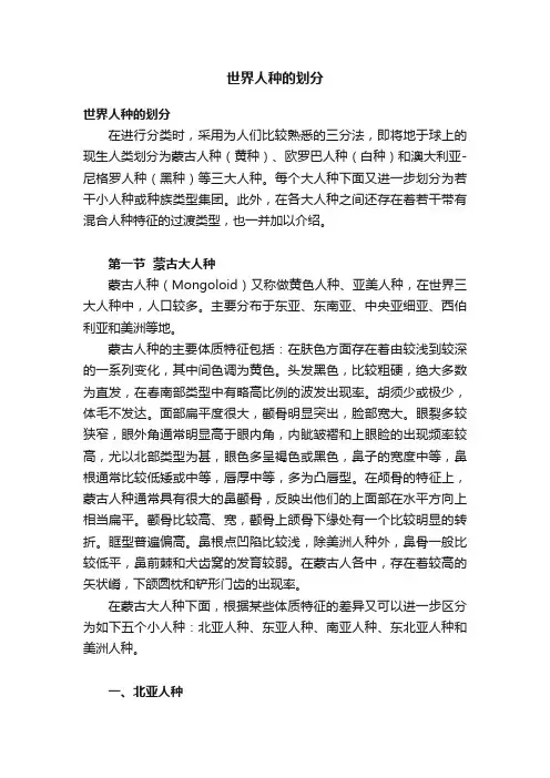 世界人种的划分