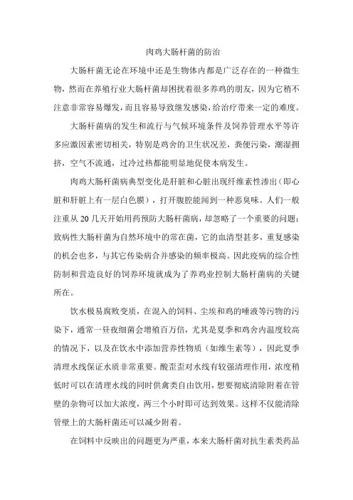 肉鸡大肠杆菌