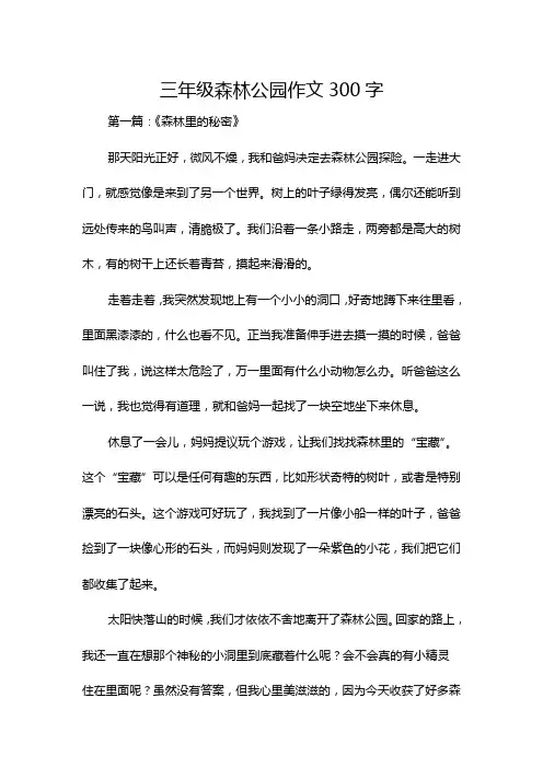 三年级森林公园作文300字