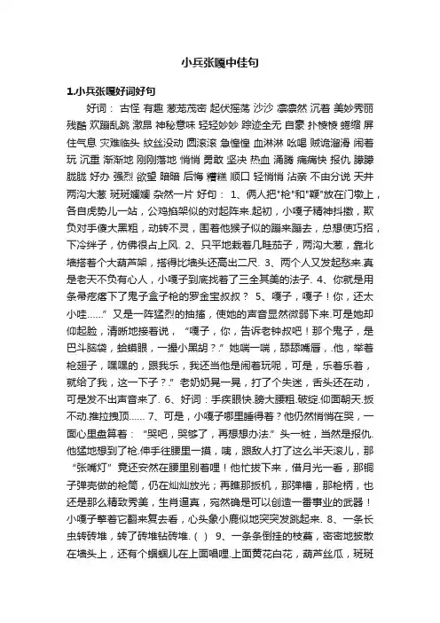 小兵张嘎中佳句