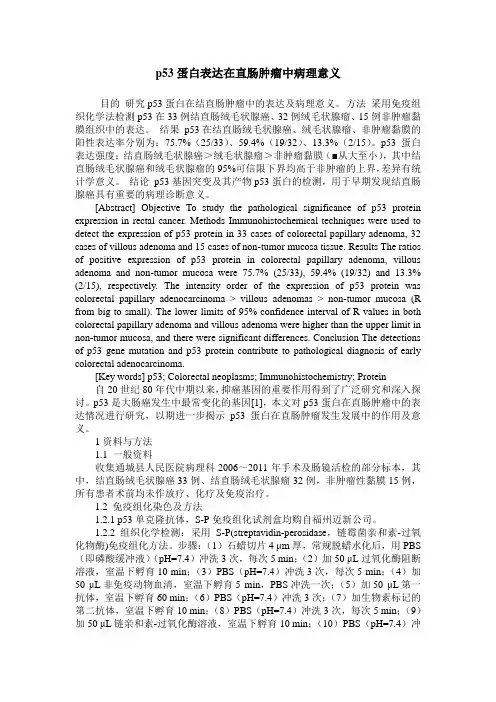 p53蛋白表达在直肠肿瘤中病理意义