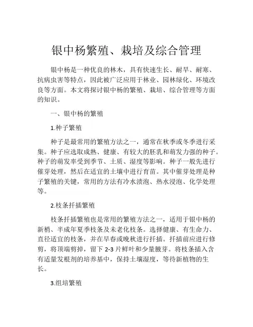 银中杨繁殖、栽培及综合管理