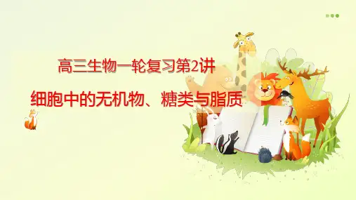 高三生物一轮复习第2讲 细胞中的无机物、糖类与脂质