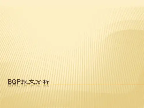 bgp报文分析