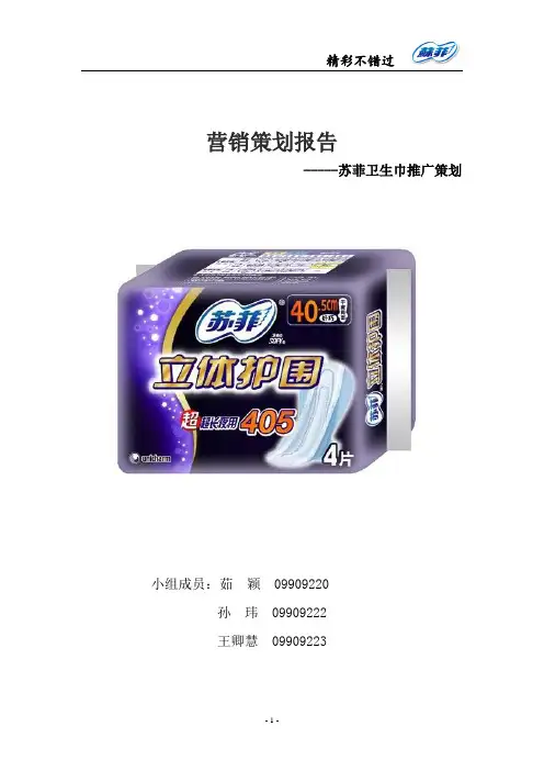 苏菲营销策划报告