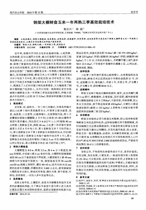 钢架大棚鲜食玉米一年两熟三季高效栽培技术